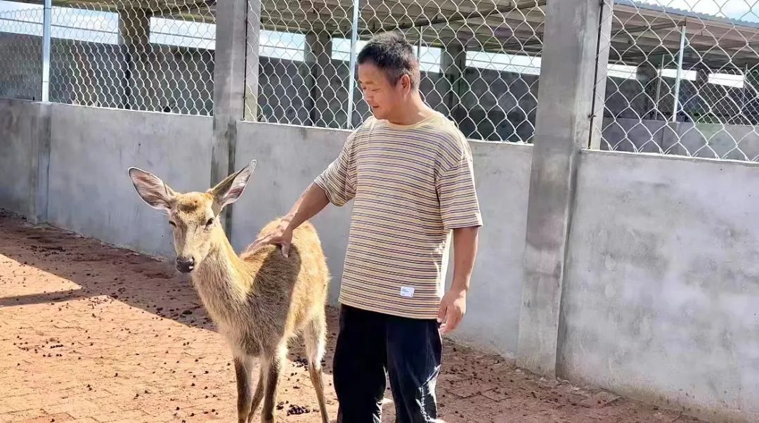 通比牛牛挂